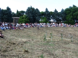 Festa dei Barbari 2010-40