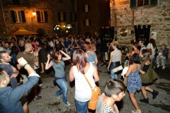 festa_dei_barbari_2014_-_xxx_anno_58_20140806_1958768530