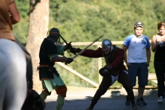 festa_dei_barbari_28_20140709_1729278604
