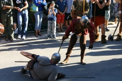 festa_dei_barbari_39_20140709_1914247958