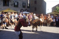 festa_dei_barbari_57_20140709_1732141755