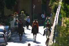 festa_dei_barbari_75_20140709_1704429564