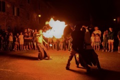 festa_dei_barbari_xxxi_ed_1_20160703_1279723808